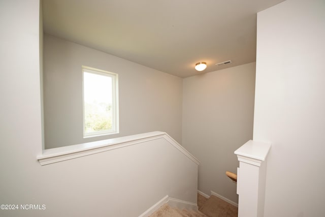 stairs featuring carpet floors