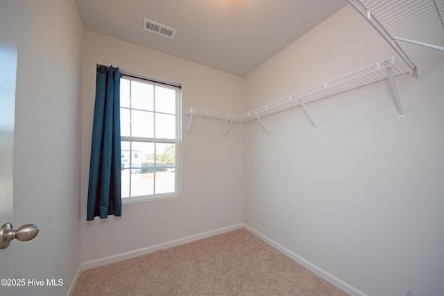 spacious closet featuring carpet