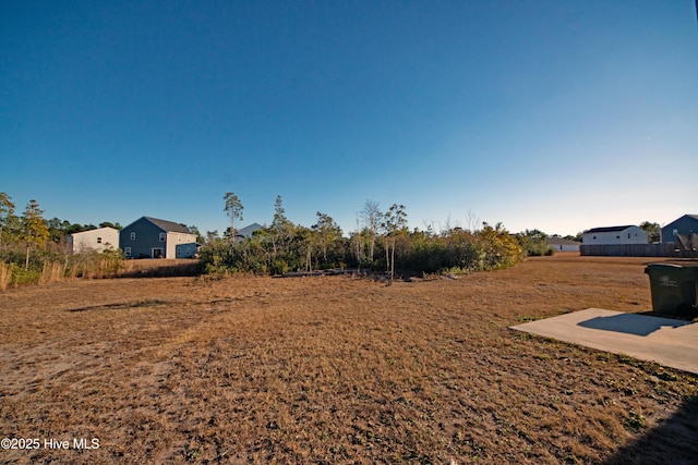 view of yard with a patio area