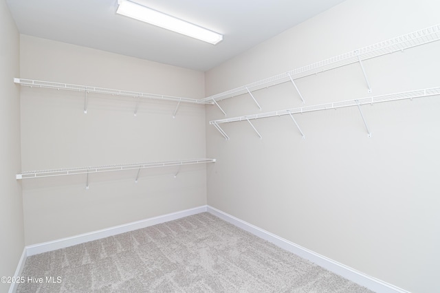 spacious closet with light carpet