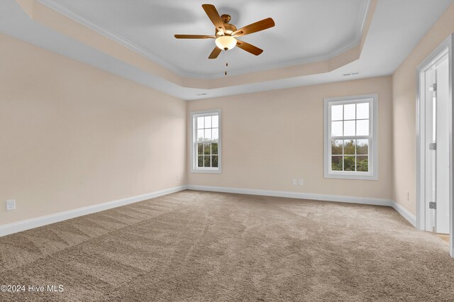 carpeted spare room with ceiling fan, crown molding, and a tray ceiling