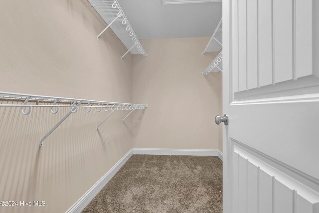 spacious closet with carpet flooring