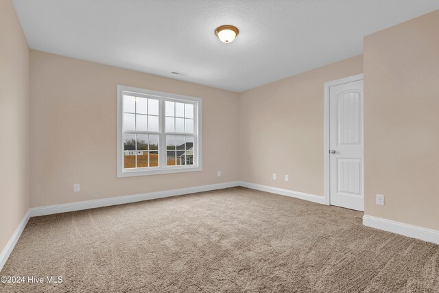 spare room with carpet