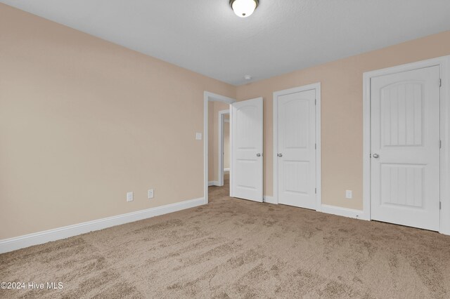 unfurnished bedroom featuring carpet floors