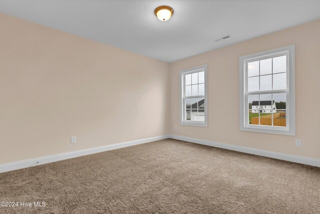 carpeted empty room with plenty of natural light