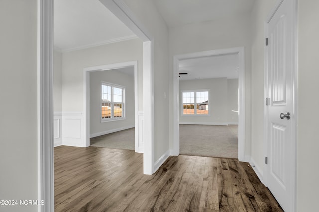 corridor with ornamental molding, a healthy amount of sunlight, and wood-type flooring