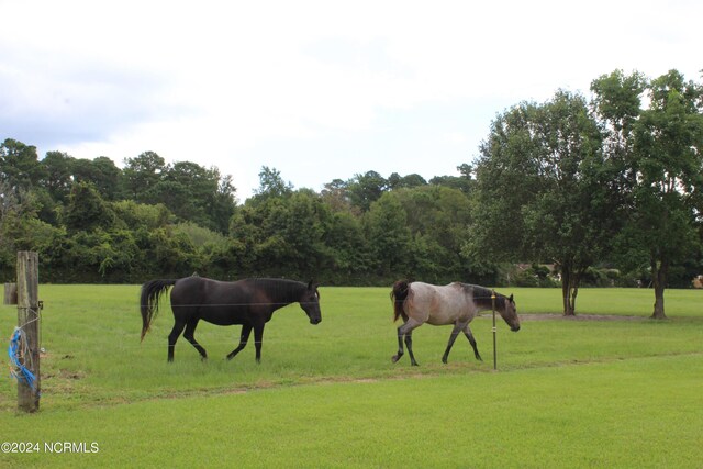 surrounding community featuring a yard and a rural view