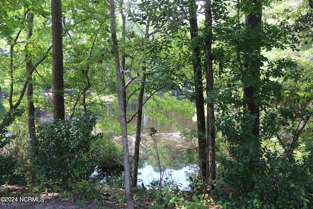 water view with a wooded view