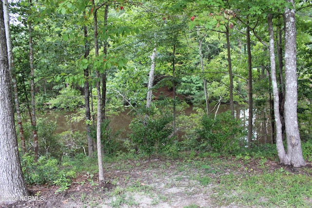 view of landscape with a wooded view