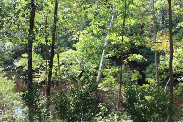 view of landscape featuring a forest view