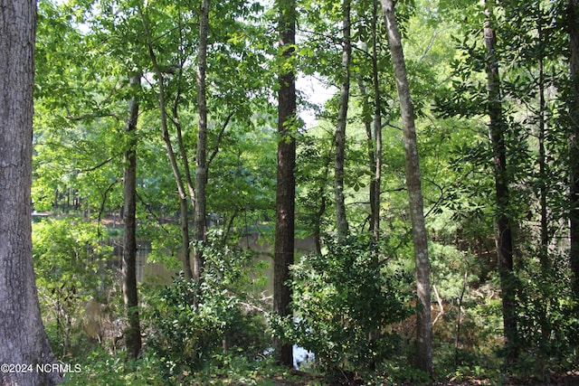 view of nature featuring a forest view