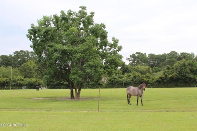 view of property's community with a lawn