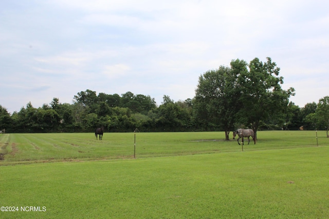 view of community featuring a lawn and a rural view