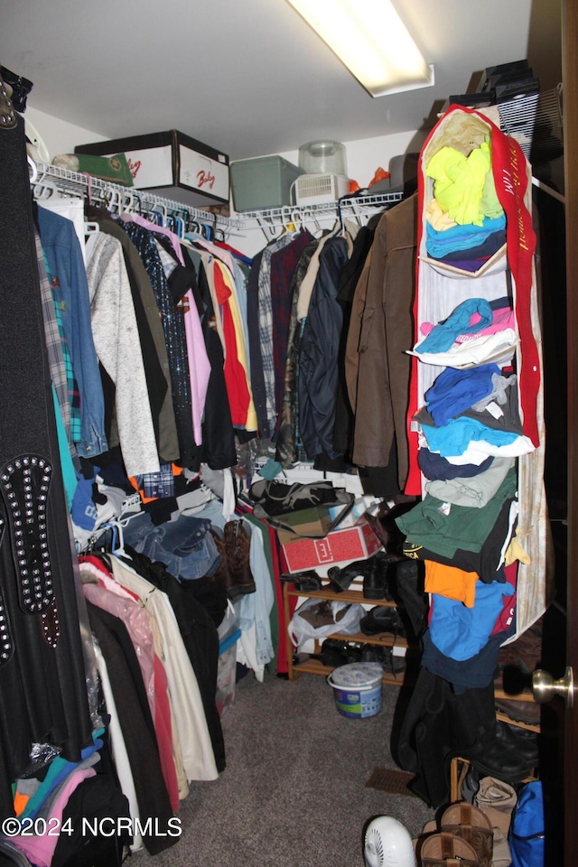 spacious closet with carpet flooring