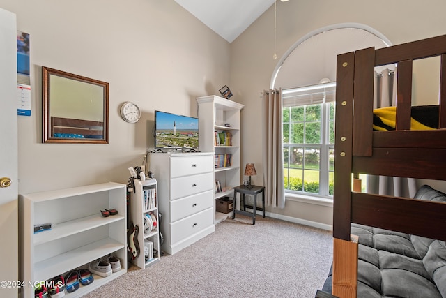 carpeted bedroom with high vaulted ceiling