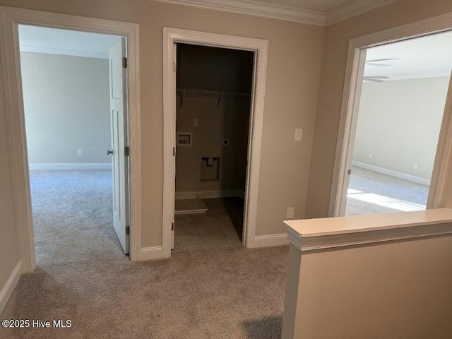 corridor with ornamental molding and light carpet