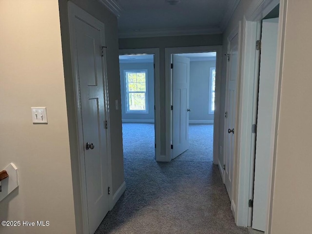 corridor with ornamental molding and carpet flooring