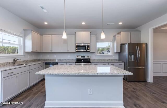 kitchen with hanging light fixtures, dark hardwood / wood-style floors, stainless steel appliances, and sink