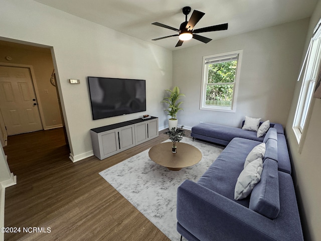 living room with ceiling fan and dark hardwood / wood-style flooring