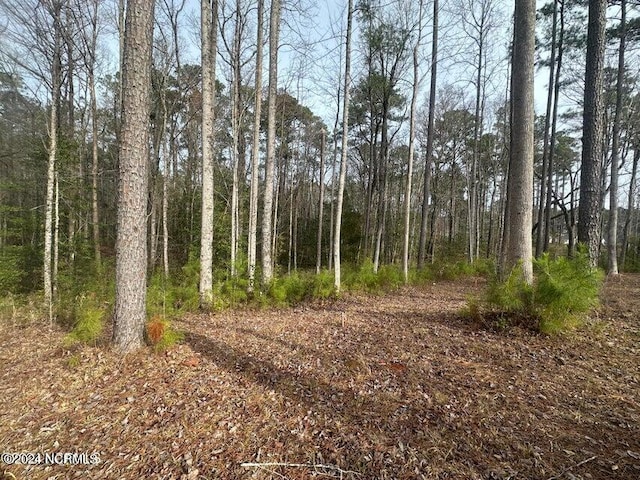 1007 Parchment Blf, New Bern NC, 28562 land for sale