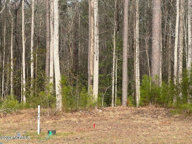 1007 Parchment Blf, New Bern, NC 28562