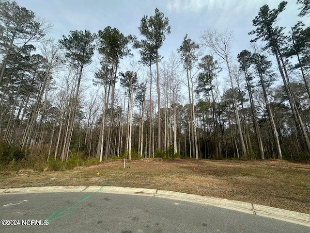 Listing photo 3 for 1007 Parchment Blf, New Bern NC 28562