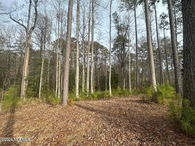 1007 Parchment Blf, New Bern, NC 28562