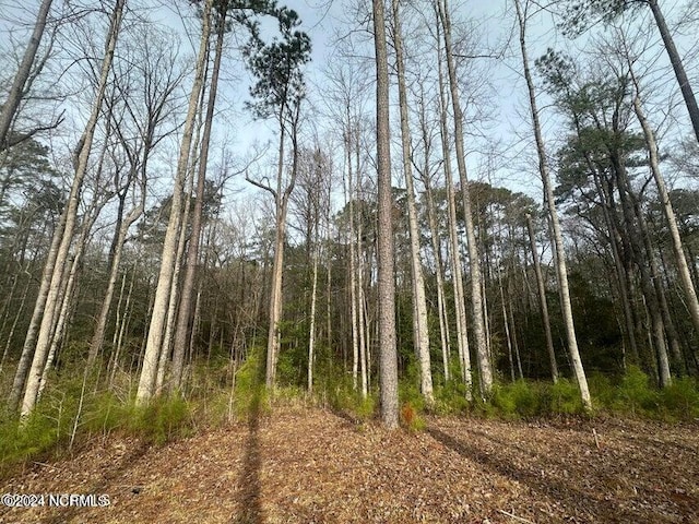 1007 Parchment Blf, New Bern, NC 28562