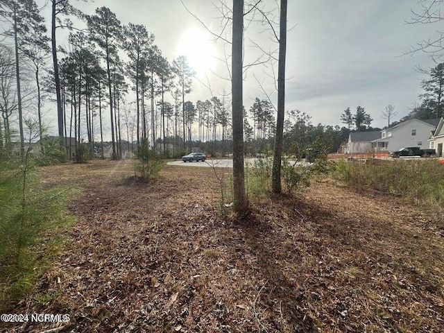 1007 Parchment Blf, New Bern, NC 28562