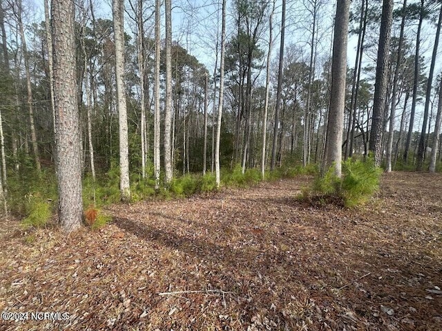 1007 Parchment Blf, New Bern, NC 28562