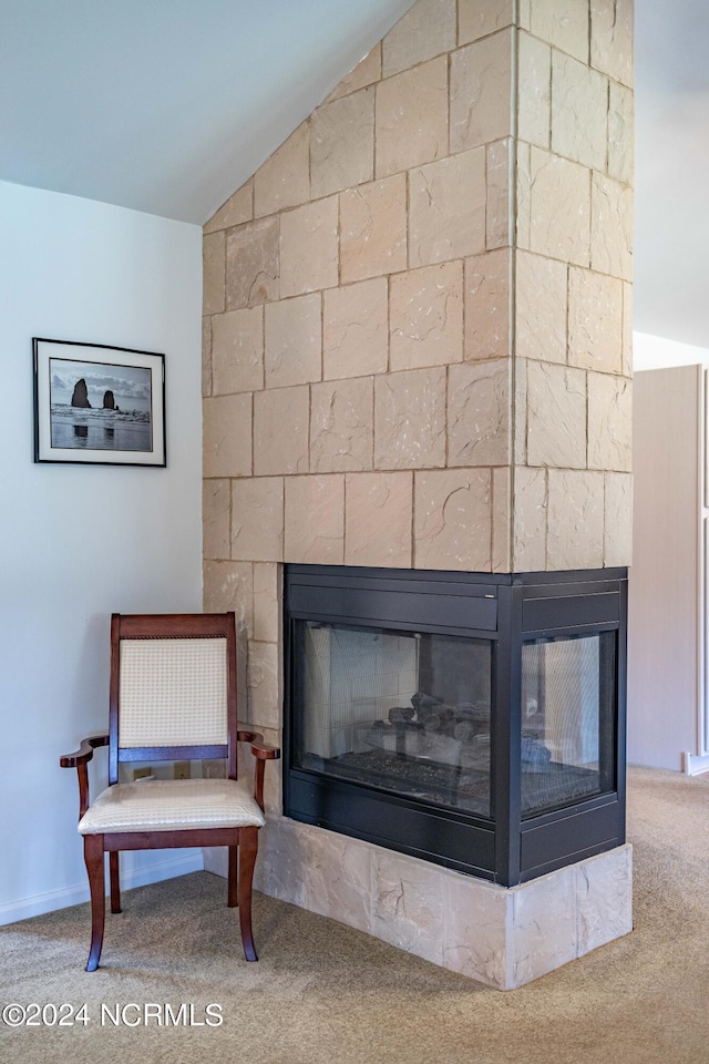 room details featuring carpet flooring and a multi sided fireplace