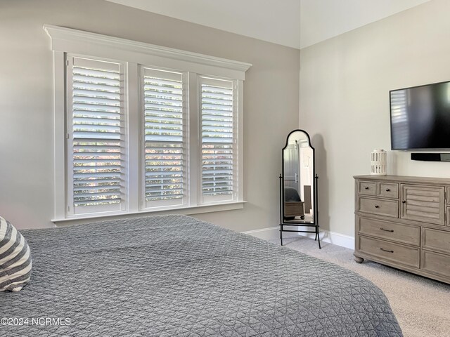 bedroom with light colored carpet