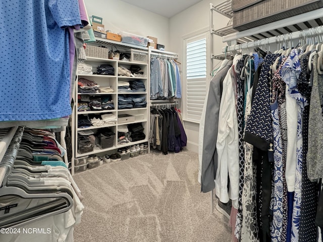 283 Golfview Ct SW, Supply, NC 28462 - walk in closet with carpet floors
