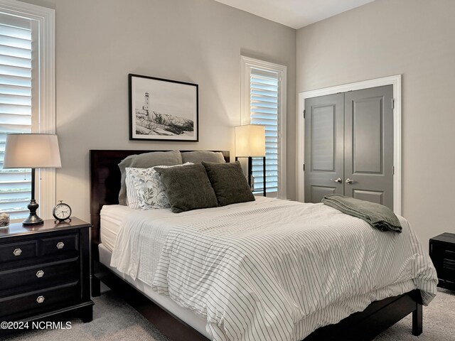 bedroom featuring a closet, multiple windows, and carpet