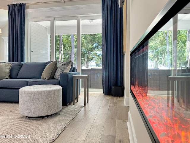 living room with plenty of natural light and light hardwood / wood-style flooring