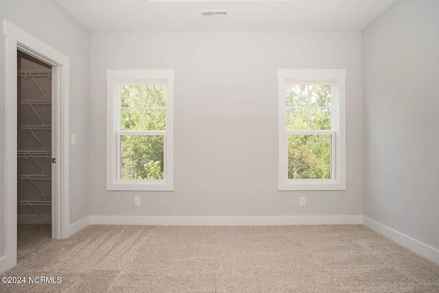 spare room featuring a wealth of natural light and light colored carpet