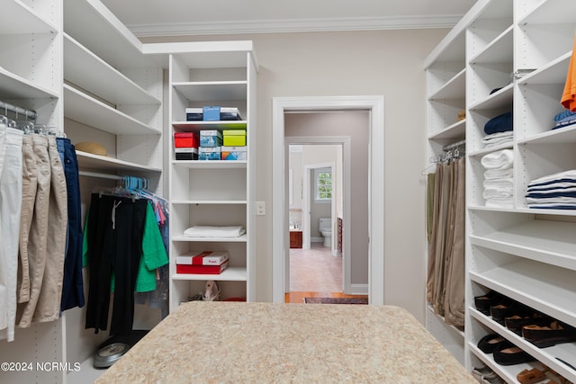 view of spacious closet