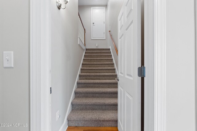 staircase featuring wood-type flooring