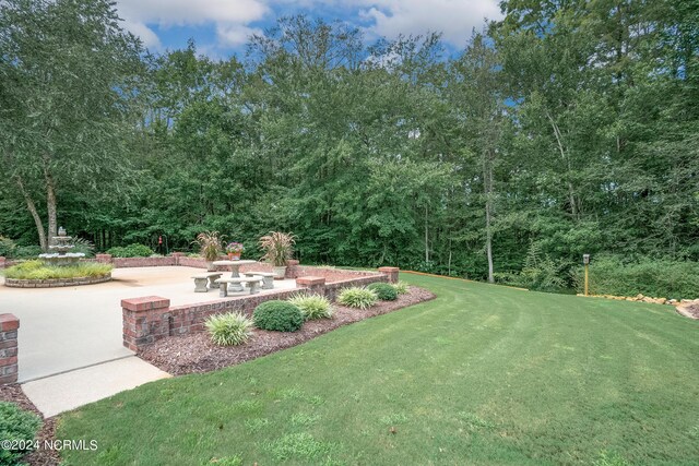 view of yard featuring a patio