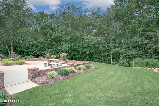 view of yard featuring a patio