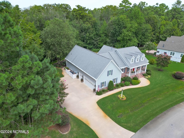 drone / aerial view