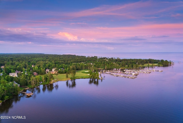 aerial view at dusk featuring a water view and a view of trees