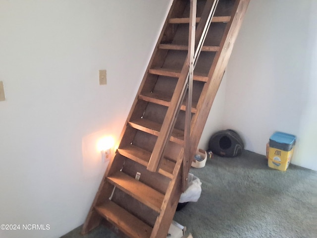 stairs featuring carpet floors