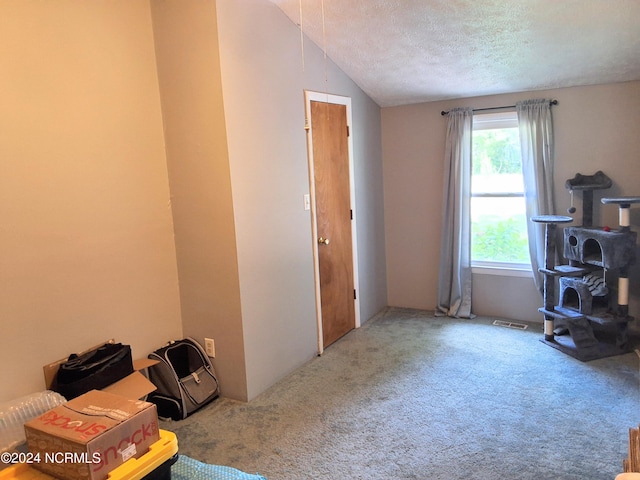 misc room with carpet, visible vents, vaulted ceiling, and a textured ceiling