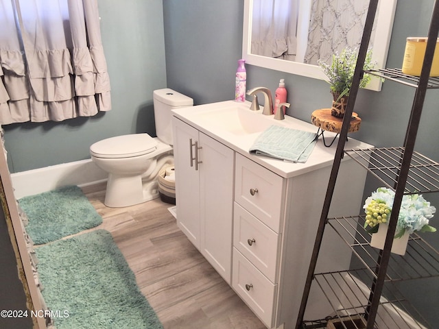 bathroom featuring vanity, wood finished floors, and toilet