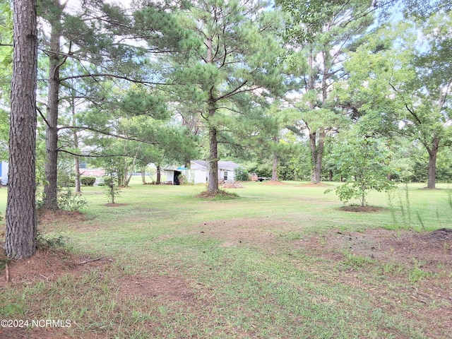 view of yard featuring a carport