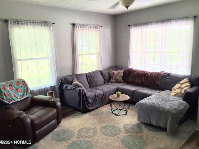 living area with plenty of natural light