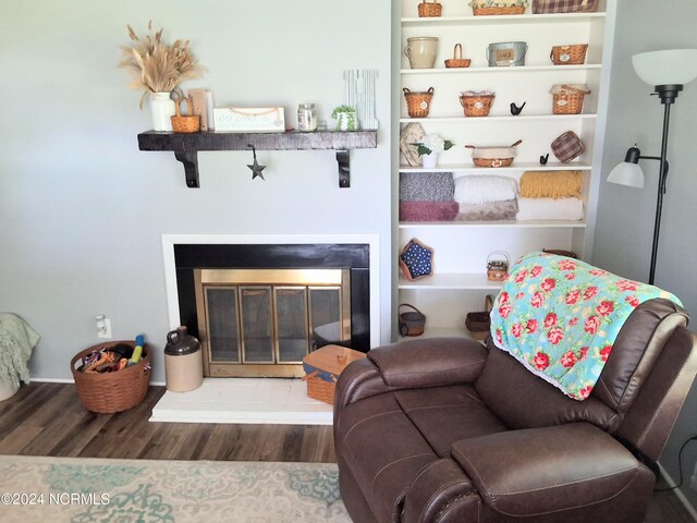 living area featuring a glass covered fireplace and wood finished floors