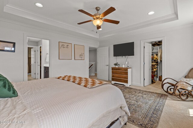 carpeted bedroom featuring connected bathroom, ceiling fan, a closet, a tray ceiling, and a spacious closet