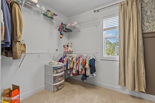 walk in closet featuring carpet floors